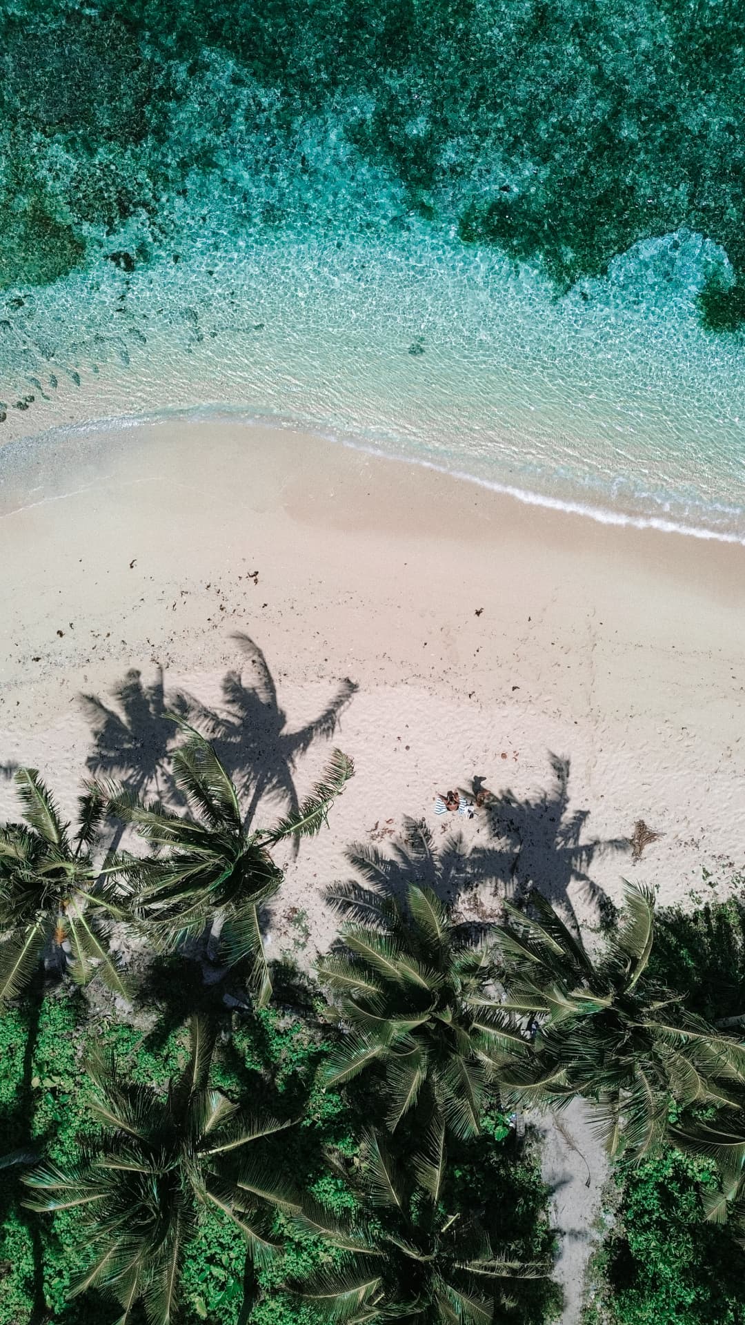 A quiet Hawaii shoreline at the end of the day