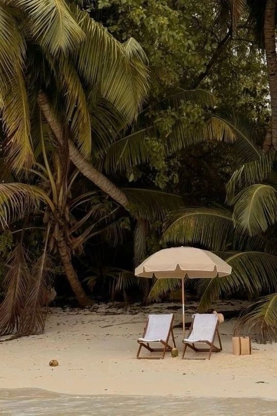 Beach umbrella and chairs under palm trees on a quiet Hawaiian shore